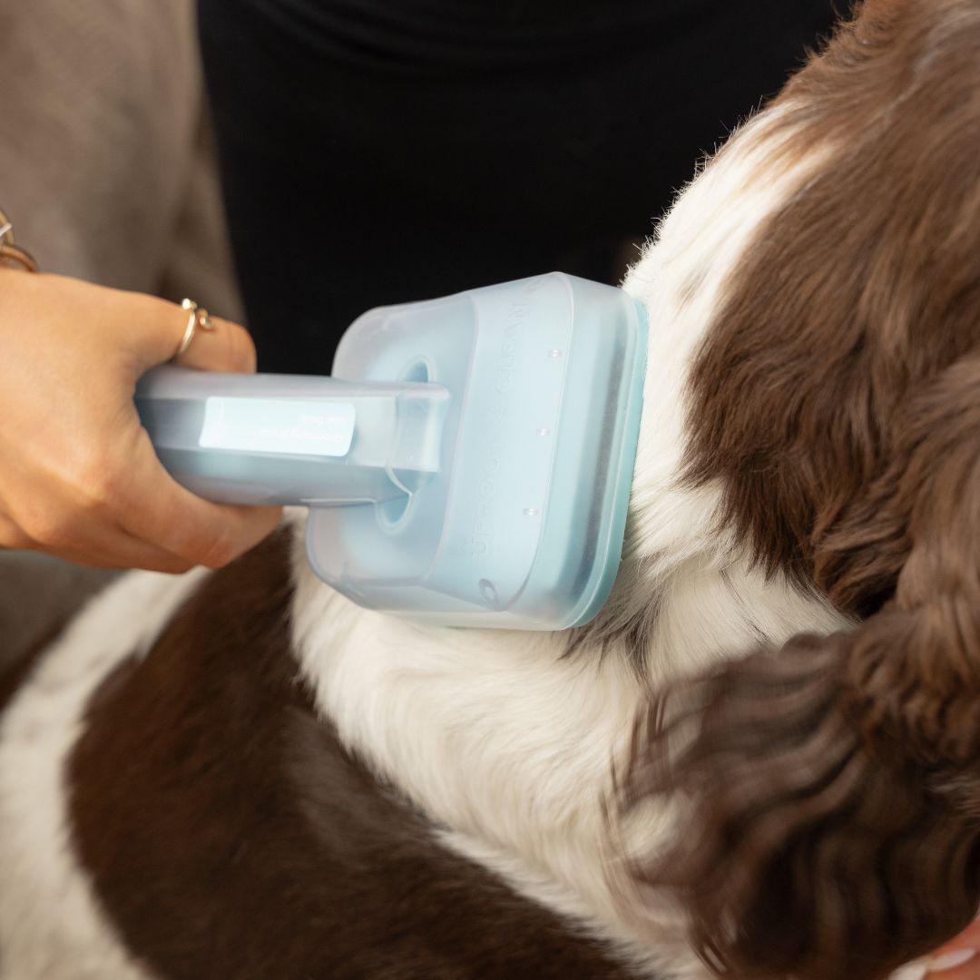 Uproot Pet Grooming Kit - Image 11