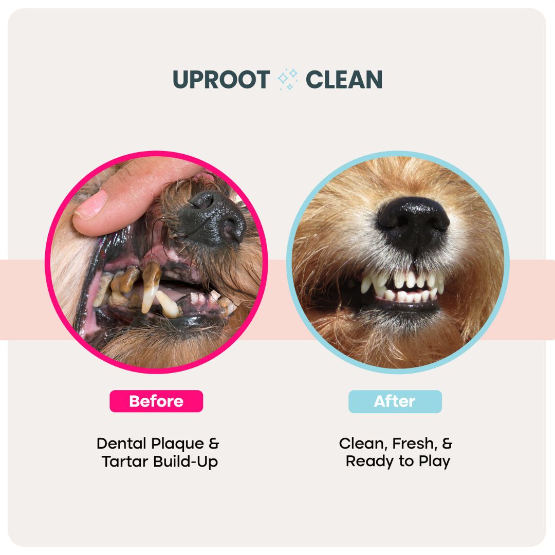 Uproot Head-to-Tail Wipe Set - Image 9