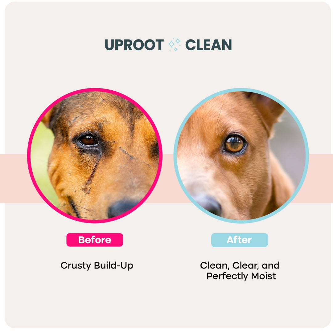 Uproot Eye Wipe Pads - Image 2