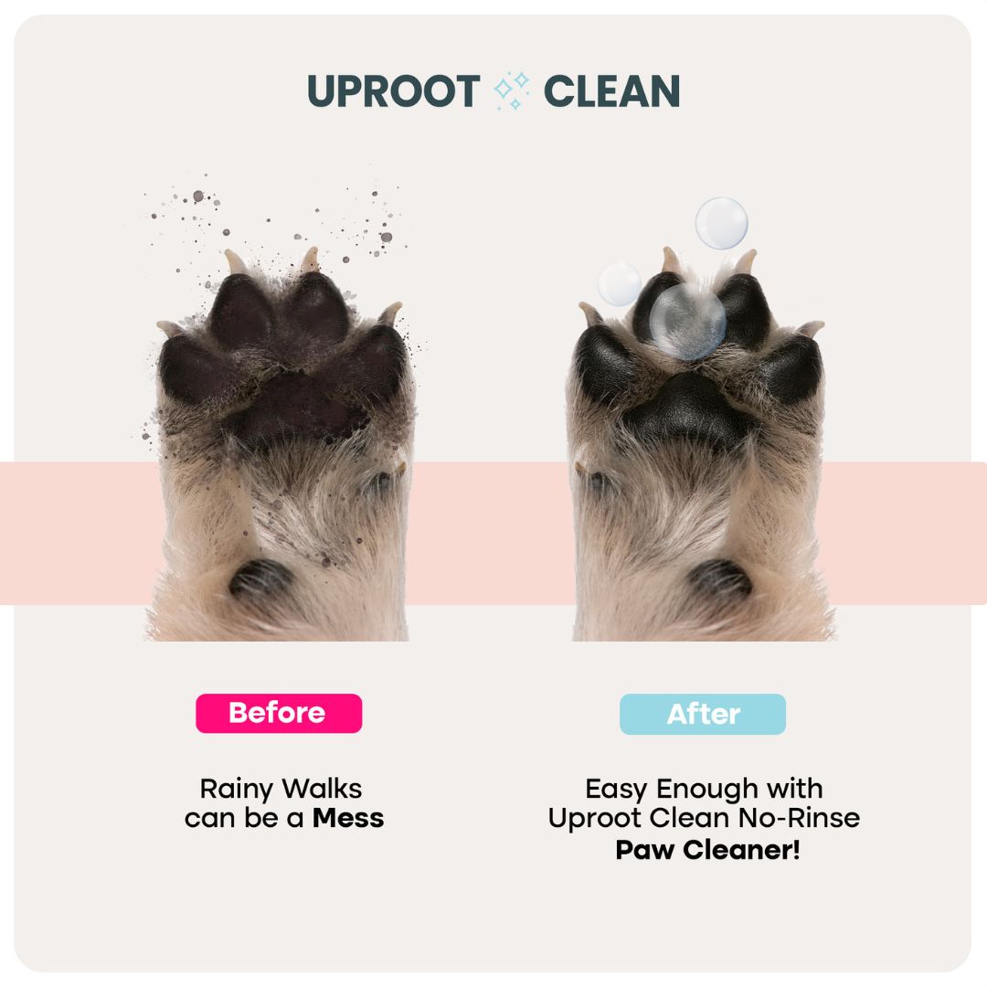Uproot Paw Cleaner - Rinse-Free Foam Cleanser - Image 2