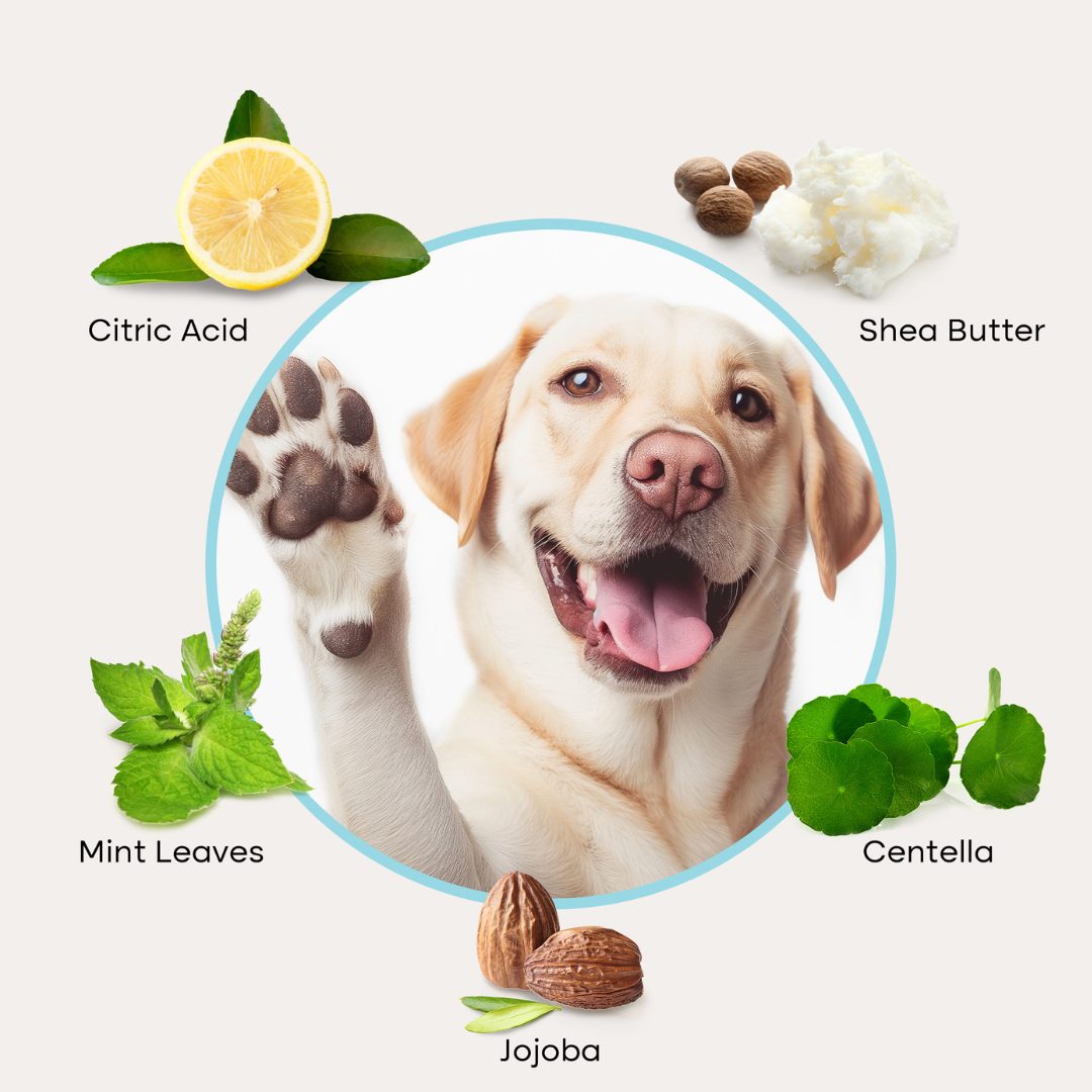 Uproot Paw Cleaner - Rinse-Free Foam Cleanser - Image 4